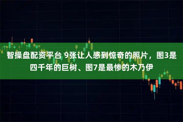 智操盘配资平台 9张让人感到惊奇的照片，图3是四千年的巨树、图7是最惨的木乃伊