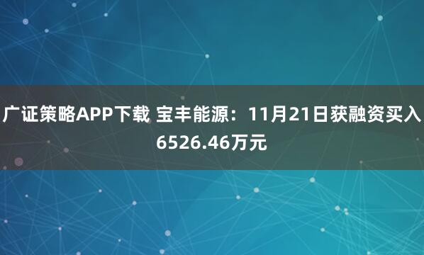 广证策略APP下载 宝丰能源：11月21日获融资买入6526.46万元