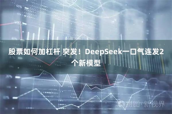 股票如何加杠杆 突发!DeepSeek一口气连发2个新模型