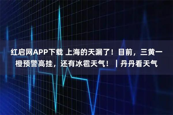 红启网APP下载 上海的天漏了!目前,三黄一橙预警高挂,还有冰雹天气!|丹丹看天气